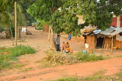 DSC_4293 (Large).JPG